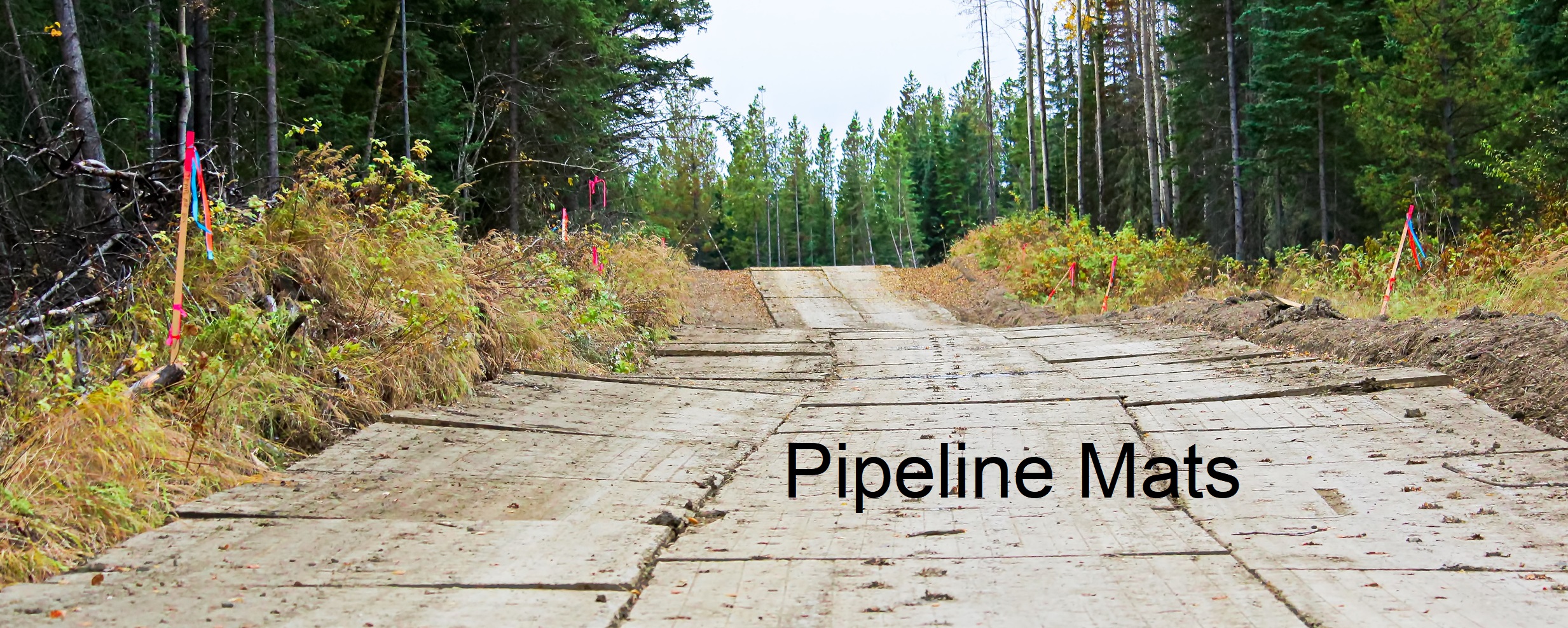 Home WORLD WOOD PRODUCTS L